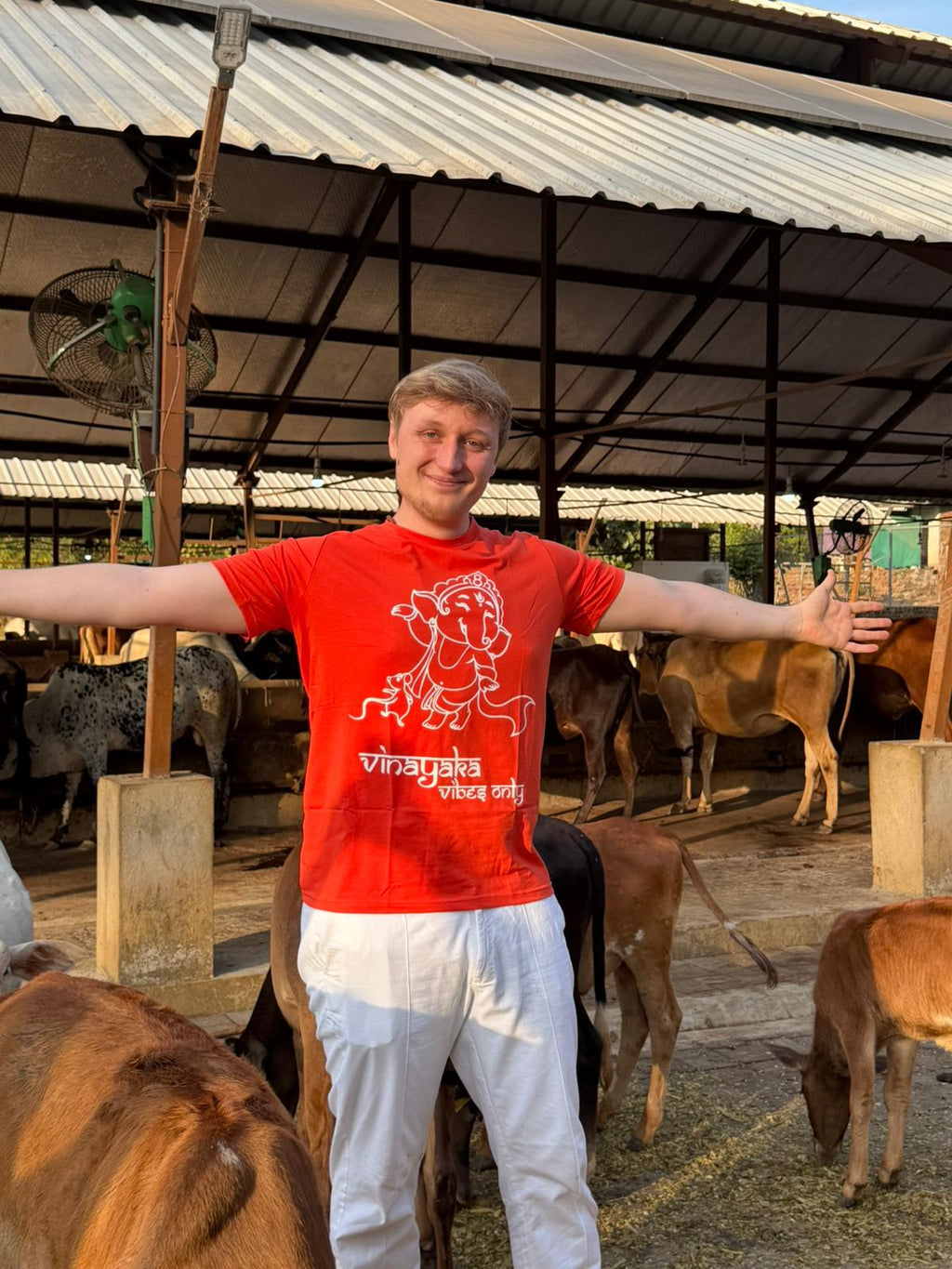 Vinayaka Vibes T-Shirt