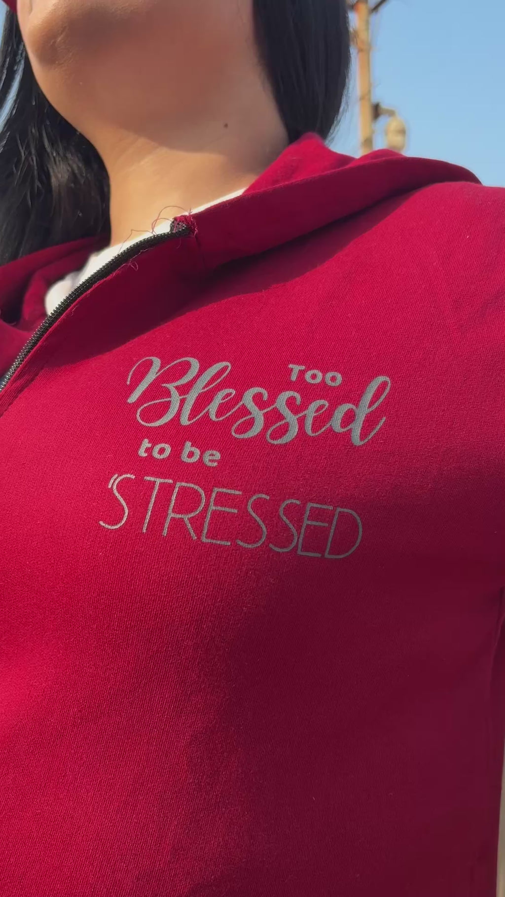 Too Blessed To Be Stressed Hoodie